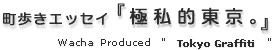 GbZCwɎIBx^CgS
