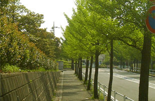 zKʂ